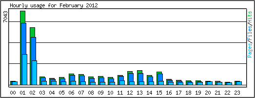 Hourly usage