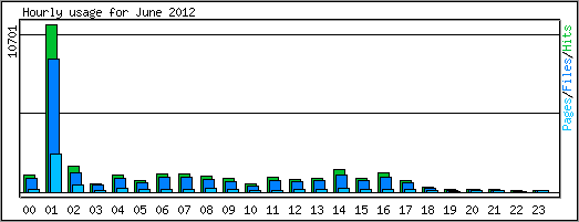 Hourly usage