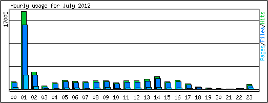 Hourly usage