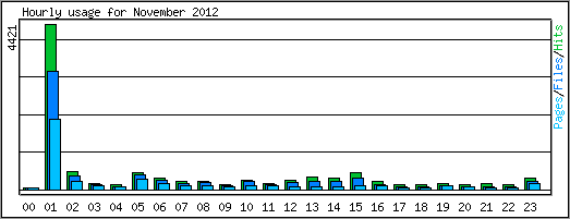 Hourly usage