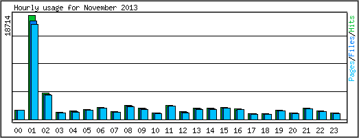 Hourly usage