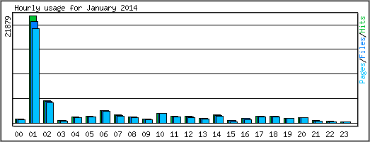 Hourly usage