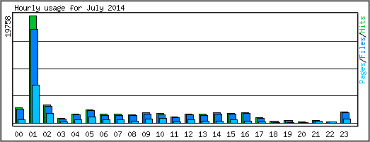 Hourly usage
