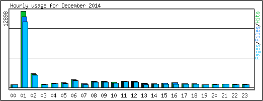 Hourly usage