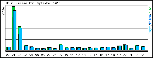 Hourly usage