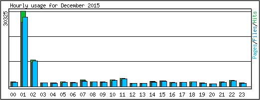 Hourly usage