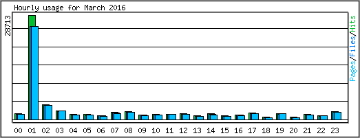 Hourly usage