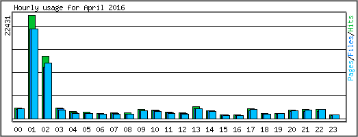Hourly usage