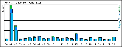 Hourly usage