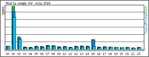 Hourly usage