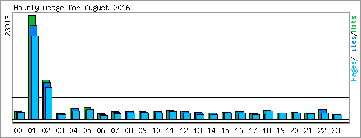 Hourly usage