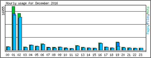 Hourly usage