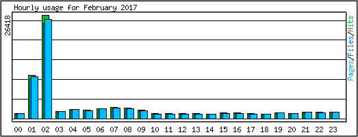 Hourly usage