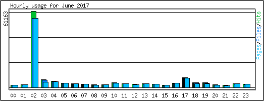 Hourly usage
