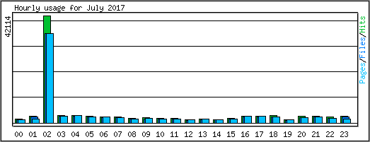 Hourly usage