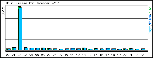 Hourly usage