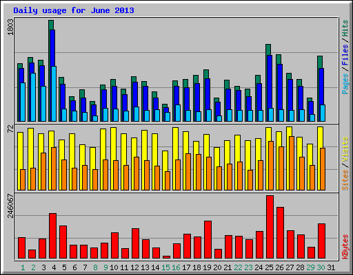 Daily usage for June 2013