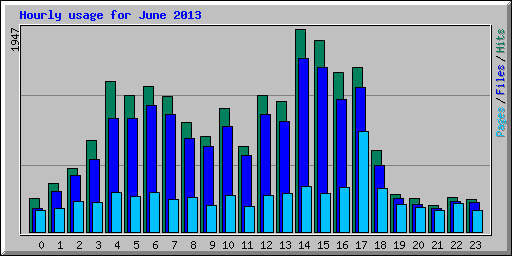 Hourly usage for June 2013
