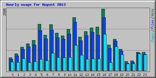 Hourly usage for August 2013