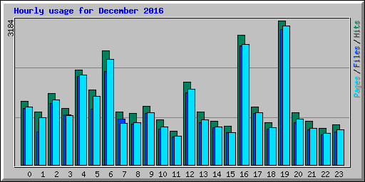 Hourly usage for December 2016