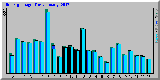 Hourly usage for January 2017