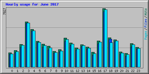 Hourly usage for June 2017
